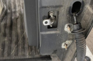 Porte arriere gauche DACIA SANDERO 1