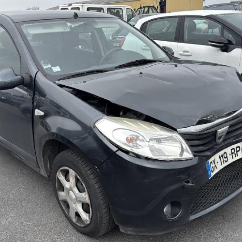 Porte arriere gauche DACIA SANDERO 1 Photo n°12