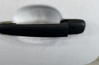 Porte arriere gauche CITROEN C3 1