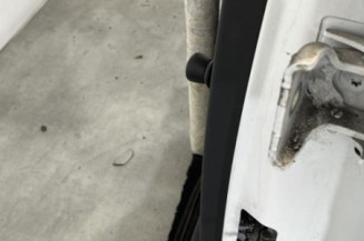 Porte arriere gauche CITROEN C3 1