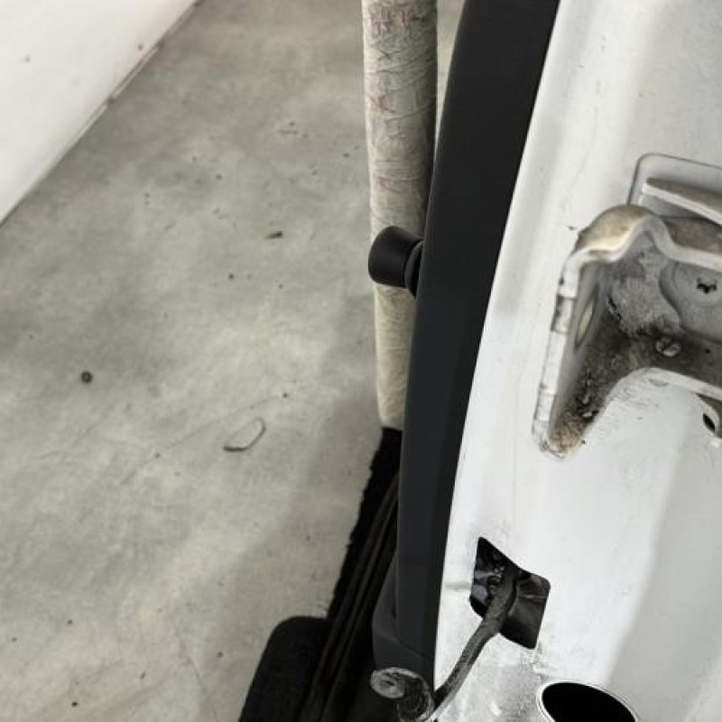 Porte arriere gauche CITROEN C3 1 Photo n°4