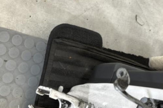 Porte arriere gauche CITROEN C3 1