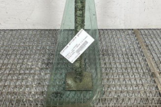 Custode arriere gauche (porte) RENAULT CLIO 3 Photo n°1