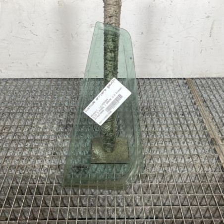 Custode arriere gauche (porte) RENAULT CLIO 3 Photo n°1