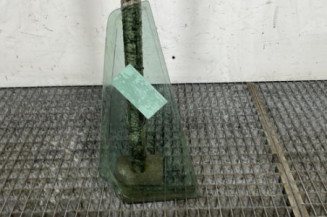 Custode arriere gauche (porte) RENAULT CLIO 3