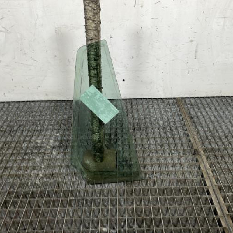 Custode arriere gauche (porte) RENAULT CLIO 3 Photo n°4