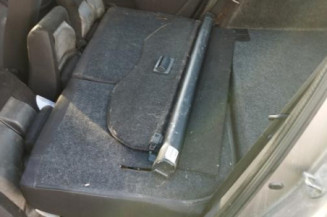 Custode arriere gauche (porte) RENAULT CLIO 3