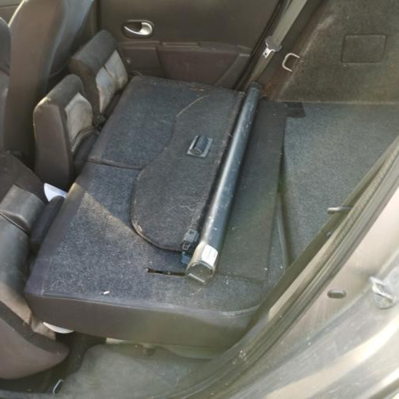 Custode arriere gauche (porte) RENAULT CLIO 3 Photo n°16