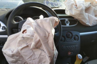 Custode arriere gauche (porte) RENAULT CLIO 3