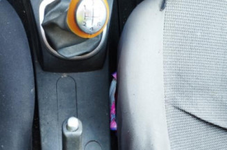 Custode arriere gauche (porte) RENAULT CLIO 3