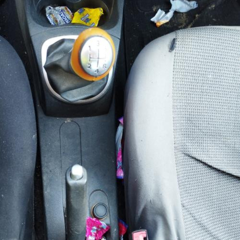 Custode arriere gauche (porte) RENAULT CLIO 3 Photo n°20