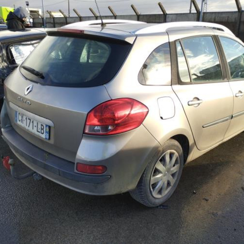 Porte arriere droit RENAULT CLIO 3 Photo n°8