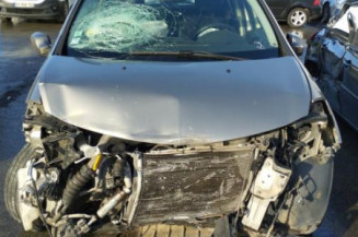 Porte arriere droit RENAULT CLIO 3