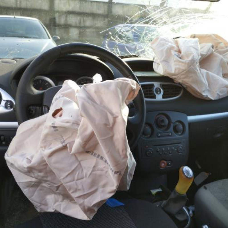 Porte arriere droit RENAULT CLIO 3 Photo n°18