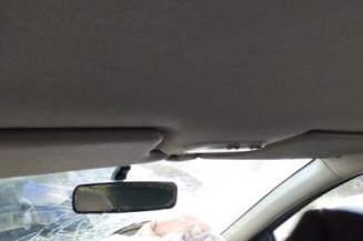 Porte arriere droit RENAULT CLIO 3