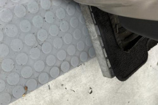 Porte avant droit RENAULT CLIO 3