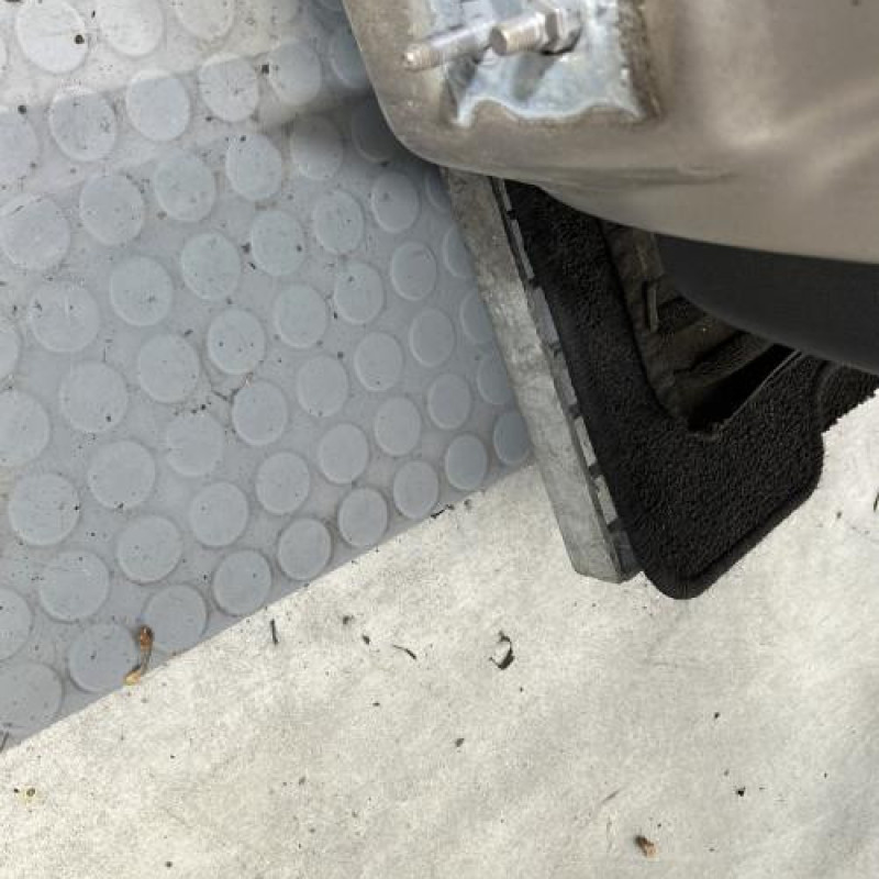 Porte avant droit RENAULT CLIO 3 Photo n°5