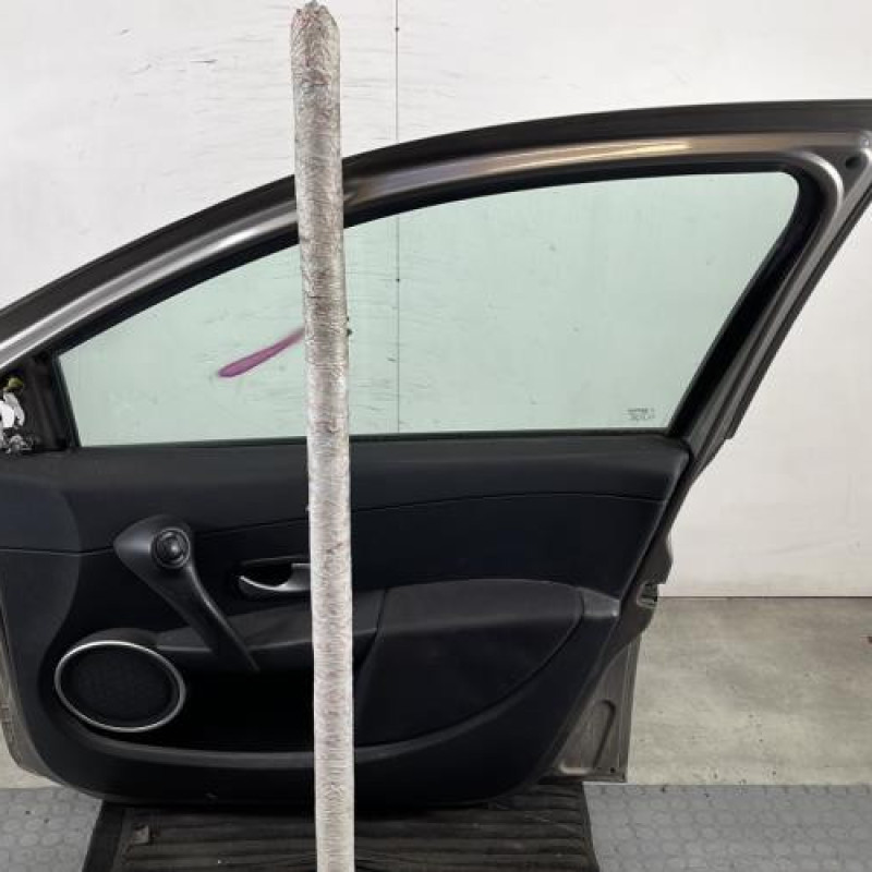 Porte avant droit RENAULT CLIO 3 Photo n°6