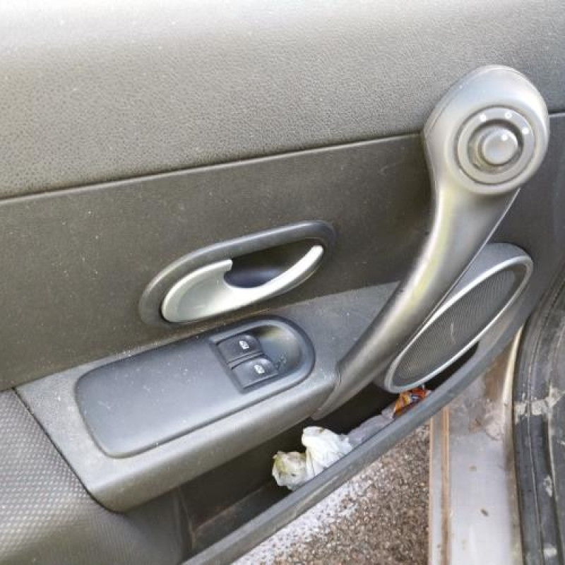 Porte avant droit RENAULT CLIO 3 Photo n°16