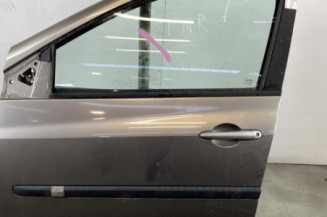Porte avant gauche RENAULT CLIO 3 Photo n°1