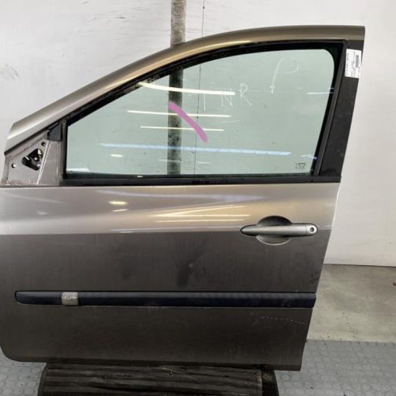 Porte avant gauche RENAULT CLIO 3 Photo n°1