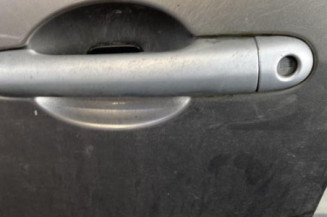 Porte avant gauche RENAULT CLIO 3