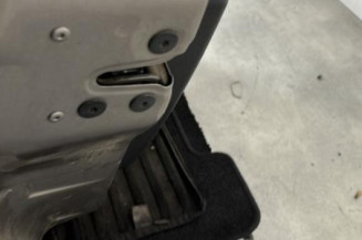 Porte avant gauche RENAULT CLIO 3