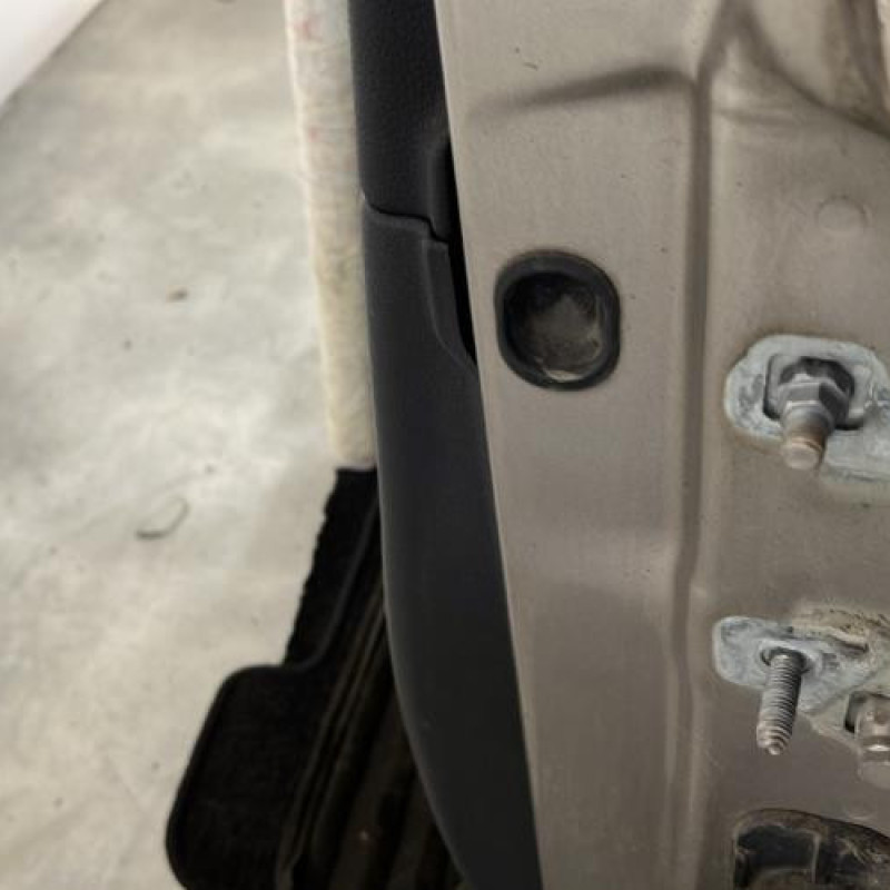 Porte avant gauche RENAULT CLIO 3 Photo n°4