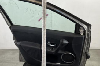 Porte avant gauche RENAULT CLIO 3