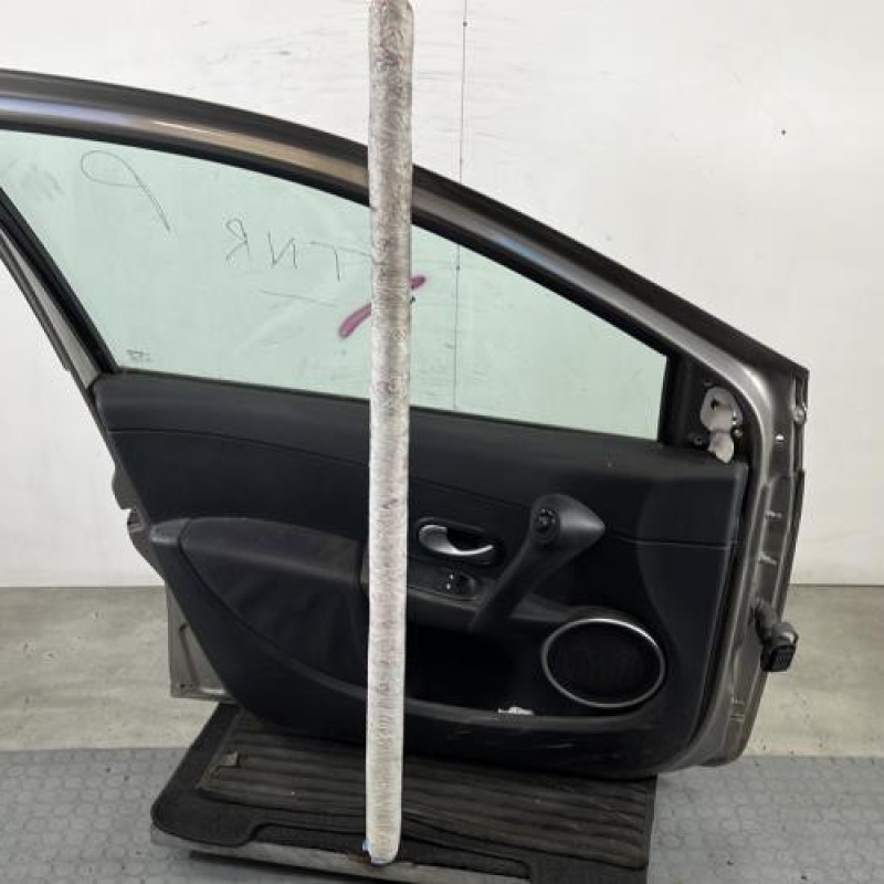 Porte avant gauche RENAULT CLIO 3 Photo n°6