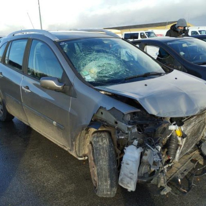 Porte avant gauche RENAULT CLIO 3 Photo n°8