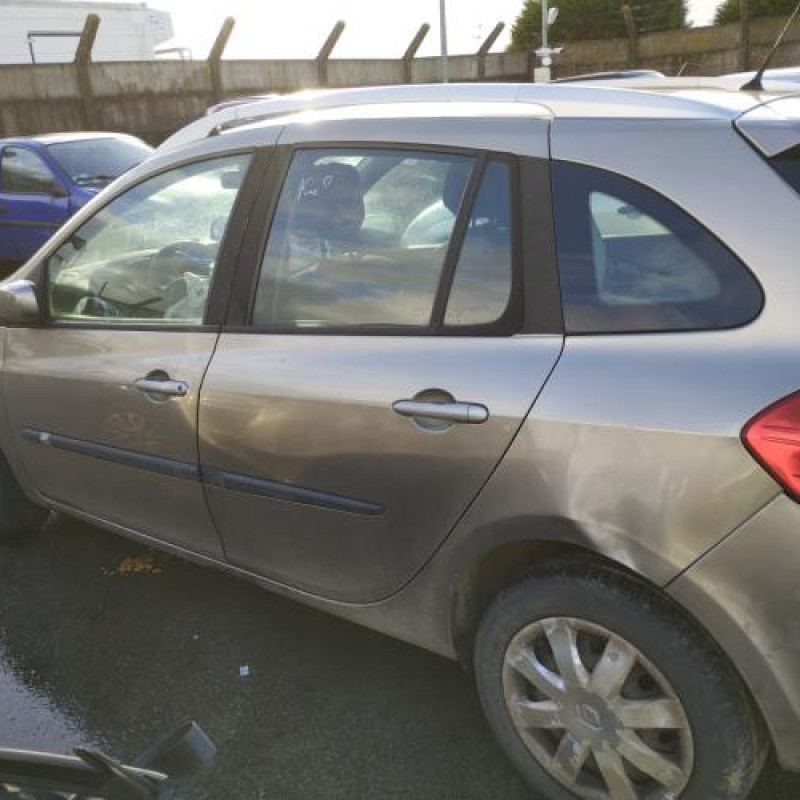 Porte avant gauche RENAULT CLIO 3 Photo n°12