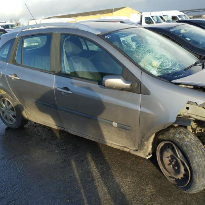 Porte avant gauche RENAULT CLIO 3 Photo n°13