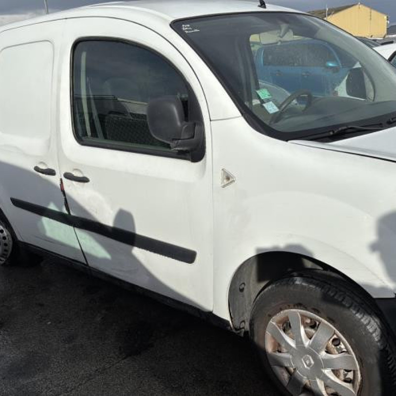 Baguette de porte avant droite RENAULT KANGOO 2 Photo n°12