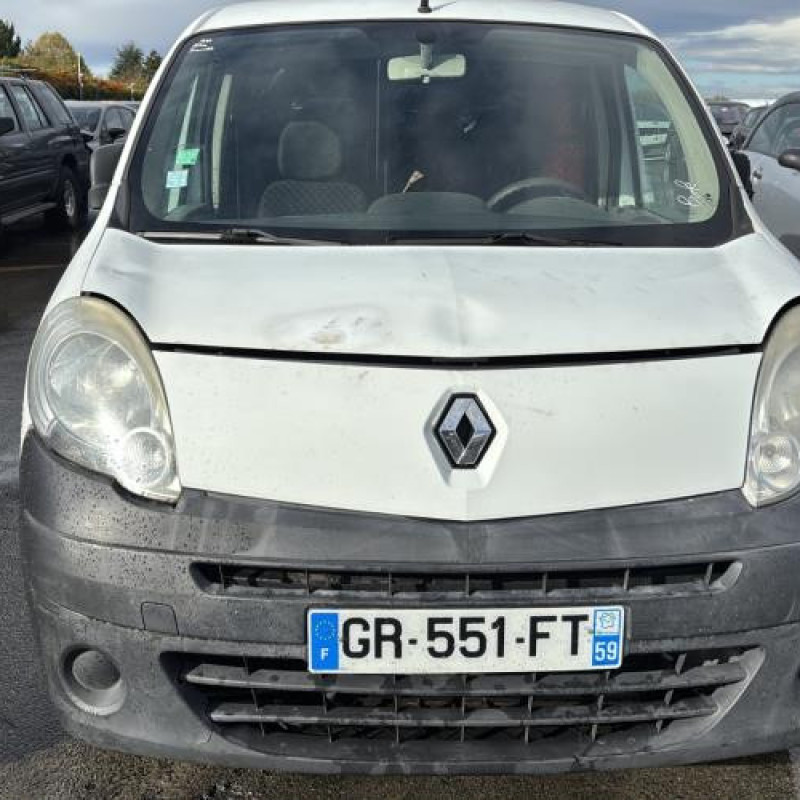 Baguette de porte avant droite RENAULT KANGOO 2 Photo n°13