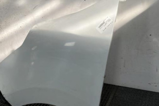 Aile avant gauche RENAULT MASTER 3