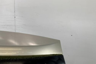 Malle/Hayon arriere CITROEN C4 GRAND PICASSO 1