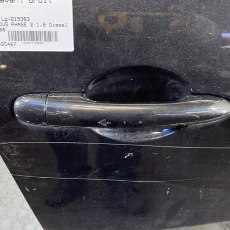 Porte avant droit RENAULT GRAND MODUS