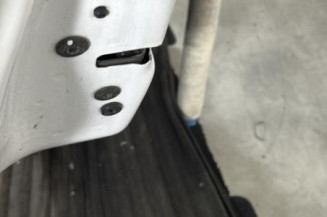 Porte arriere gauche PEUGEOT 208 1