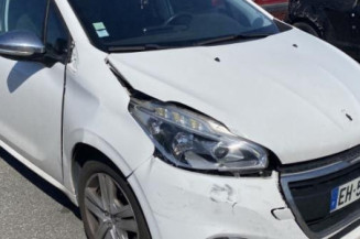 Porte arriere gauche PEUGEOT 208 1