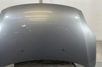 Capot SUZUKI SWIFT 3 Photo n°1