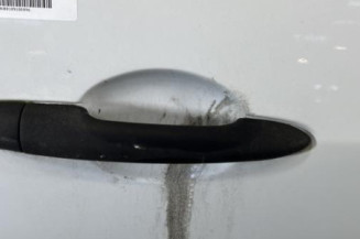 Porte avant droit RENAULT MODUS