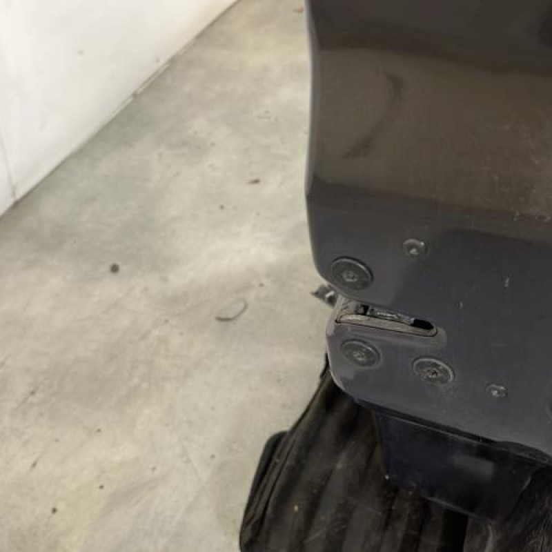 Porte avant droit RENAULT MODUS Photo n°3