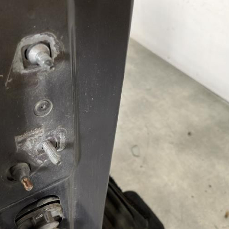 Porte avant droit RENAULT MODUS Photo n°4