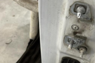 Porte avant gauche RENAULT MODUS