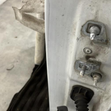 Porte avant gauche RENAULT MODUS