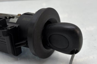 Neiman RENAULT SCENIC 1