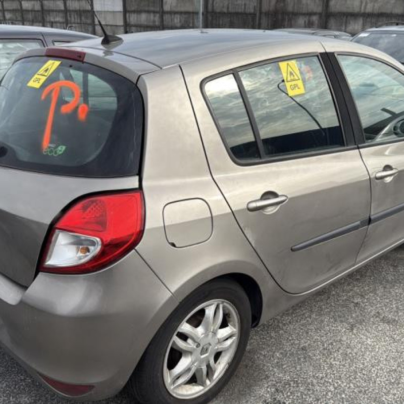 Porte arriere droit RENAULT CLIO 3 Photo n°8