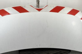 Capot RENAULT MASTER 3 Photo n°1