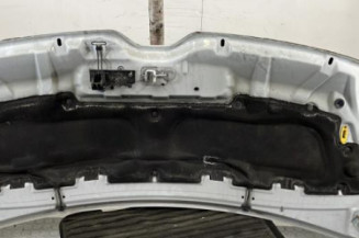 Capot RENAULT MASTER 3